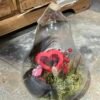 Botella de rosas